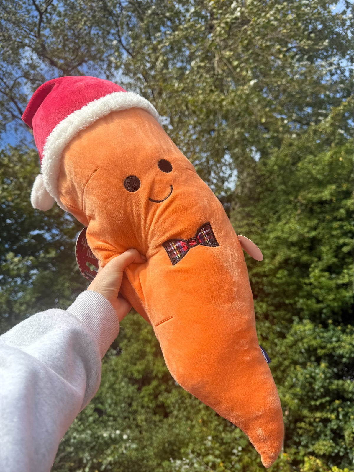 Santa Jumbo Plush Carrot Dog Toy