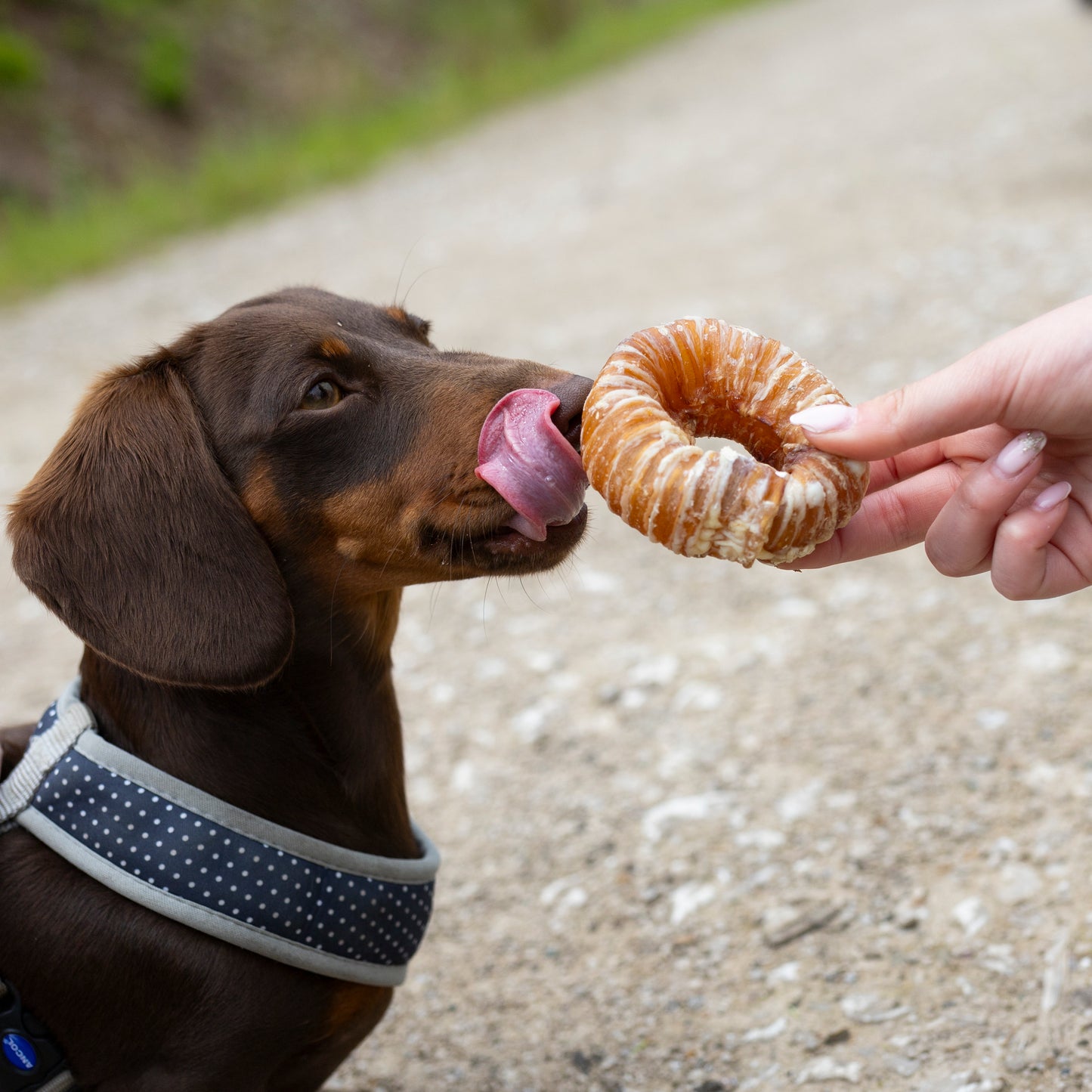 Buffalo Trachea Donuts 1kg Bulk Bag
