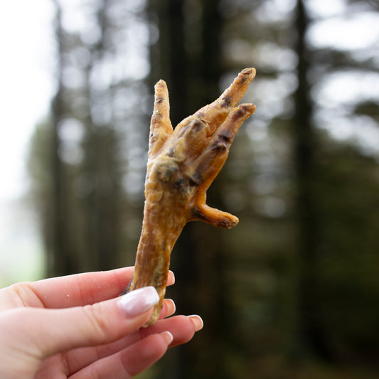 Air Dried Chicken Feet Bulk Bags – Natural Daily Treat for Healthy Joints & Teeth