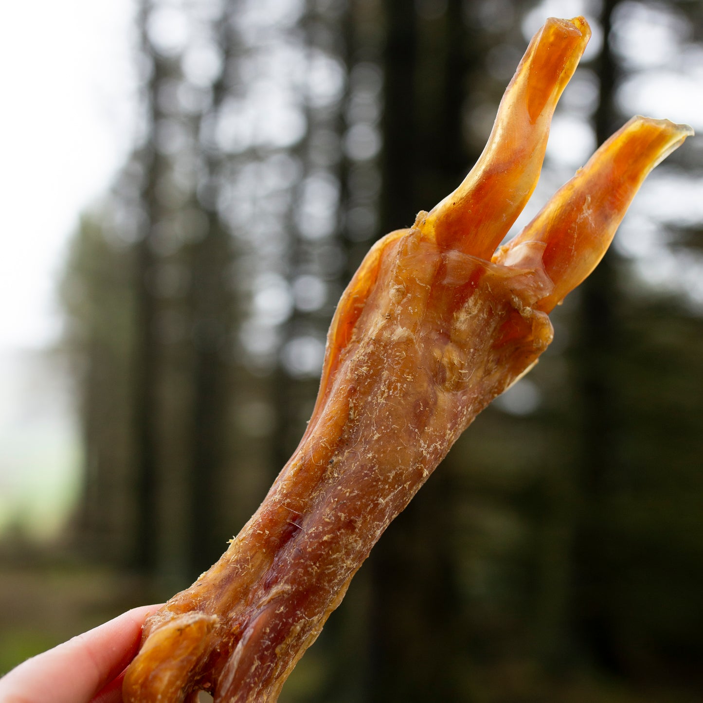 Beef Achilles tendon bulk bag from Mabel's Natural Pet Supplies, 500g or 1kg, showing fresh, chewy dog treat pieces.
