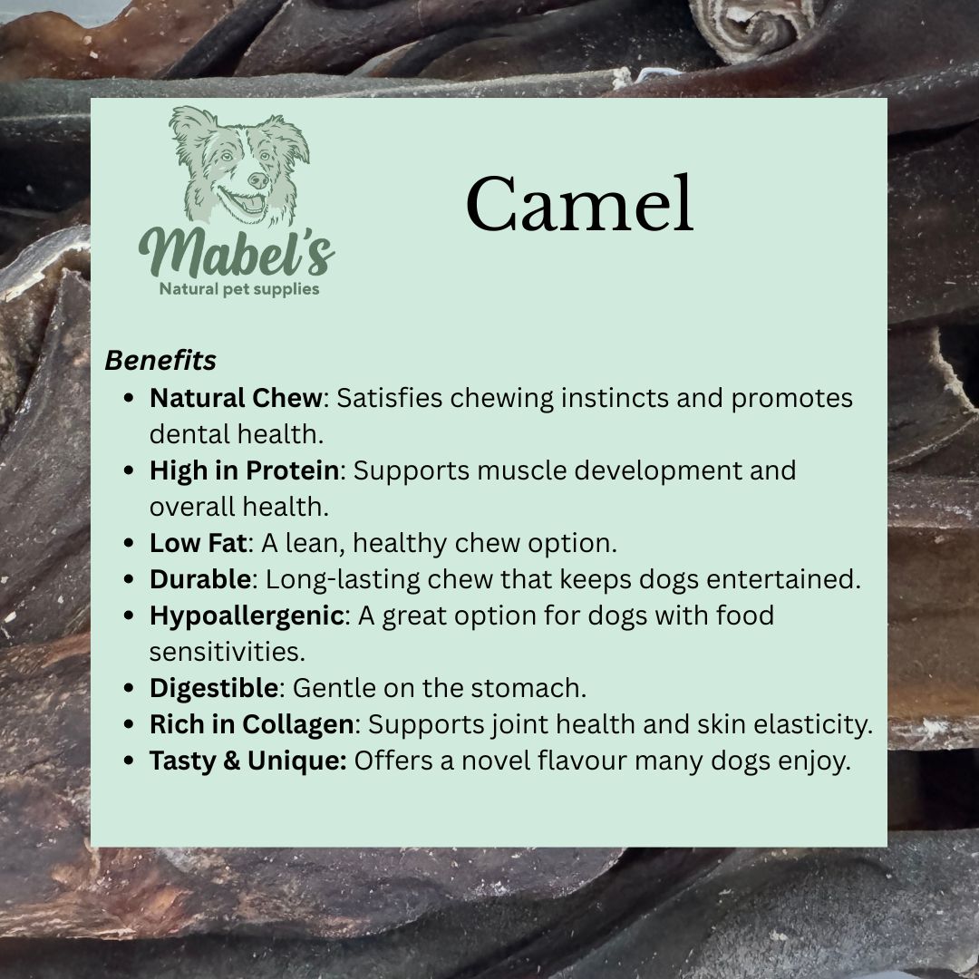 Long-lasting natural dog treat: jumbo camel roll from Mabel's Natural Pet Supplies™, showing a textured, chewy camel meat roll for dogs.