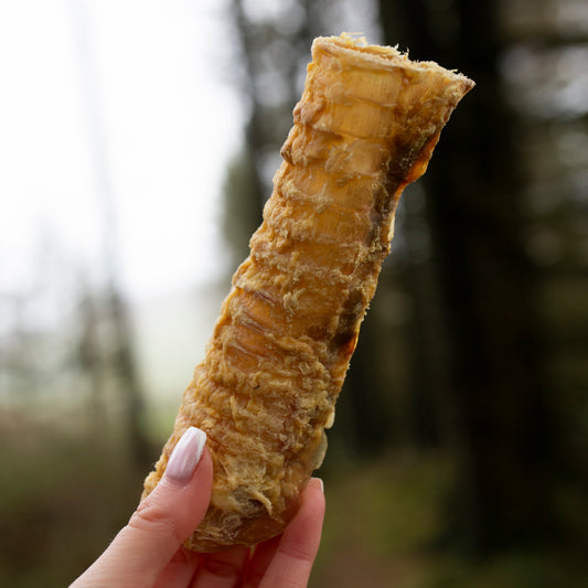 Beef Trachea - 1kg & 500g