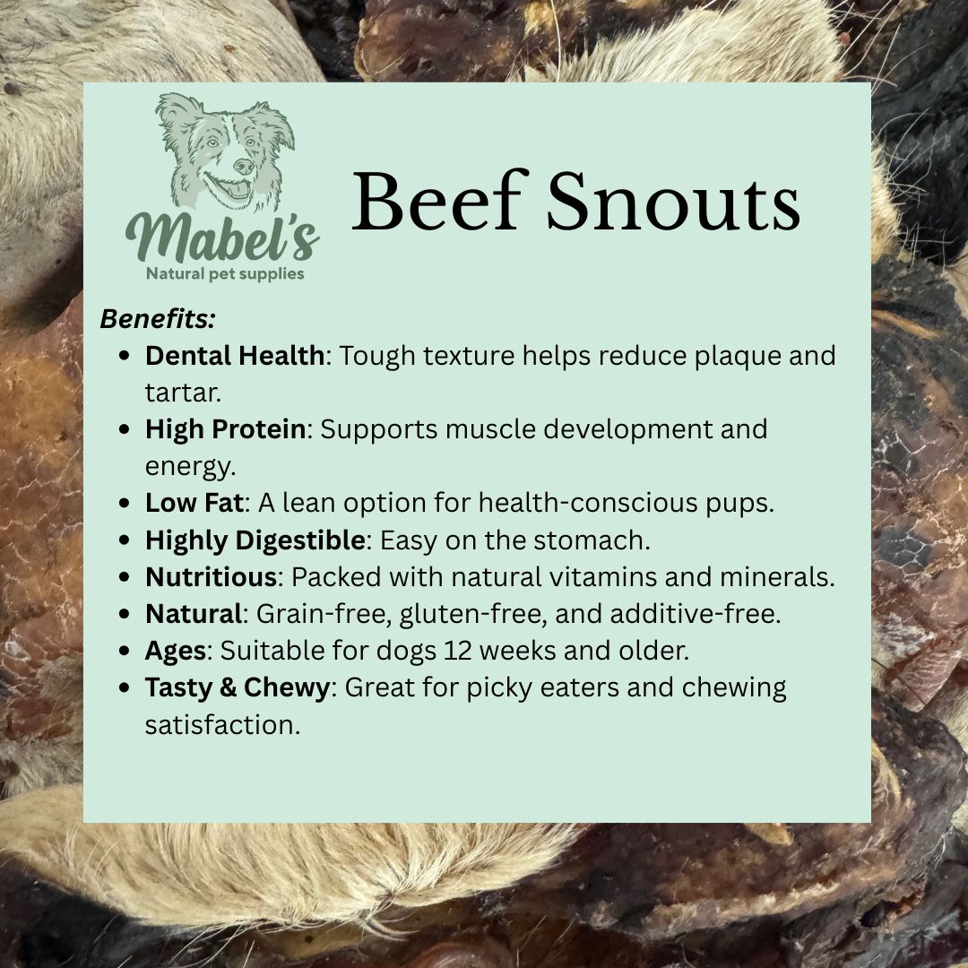 Mabel's Natural Pet Supplies™ hairy beef snout treat, single or 1kg bulk bag, showing a close-up of the textured beef snout for dogs.
