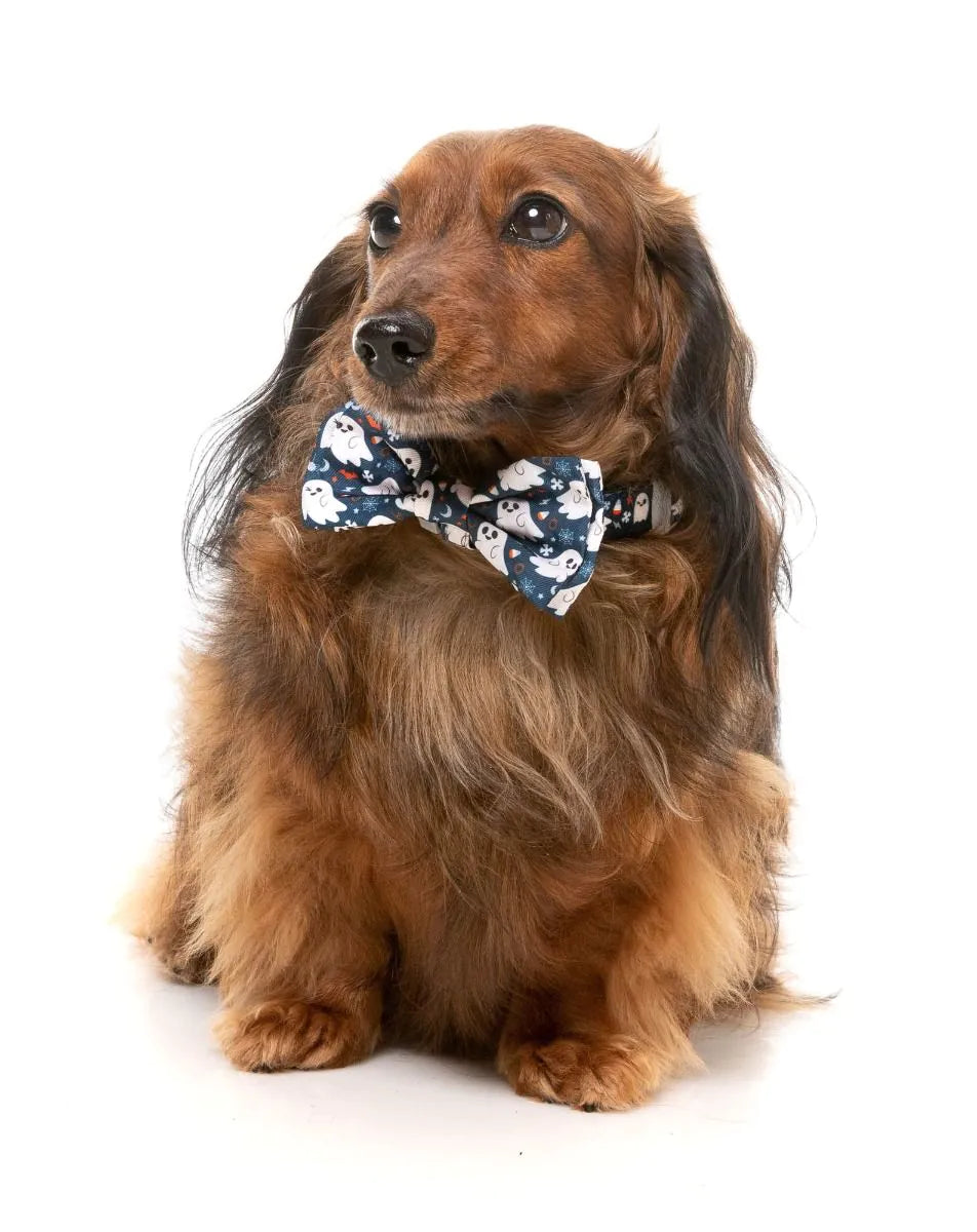 That's The Spirit - 2 pack (Bowtie & Bandana set)