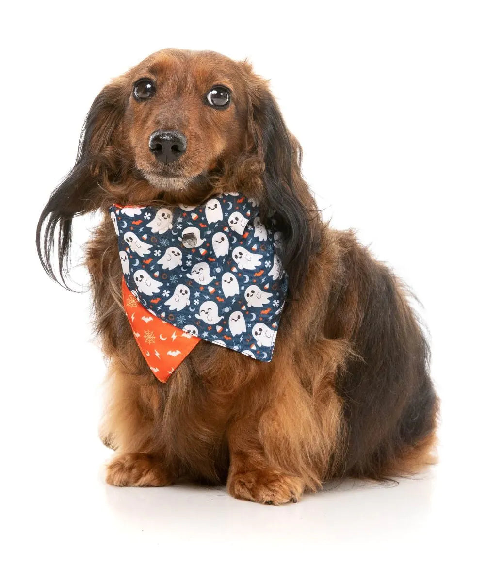 That's The Spirit - 2 pack (Bowtie & Bandana set)