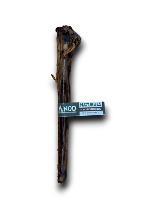 Large ostrich metatarsus bone, long lasting natural dog treat