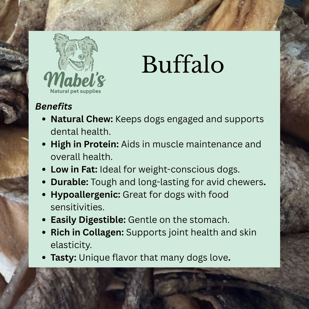 Large buffalo ears (no hair) single or 10 pack, natural dog treat