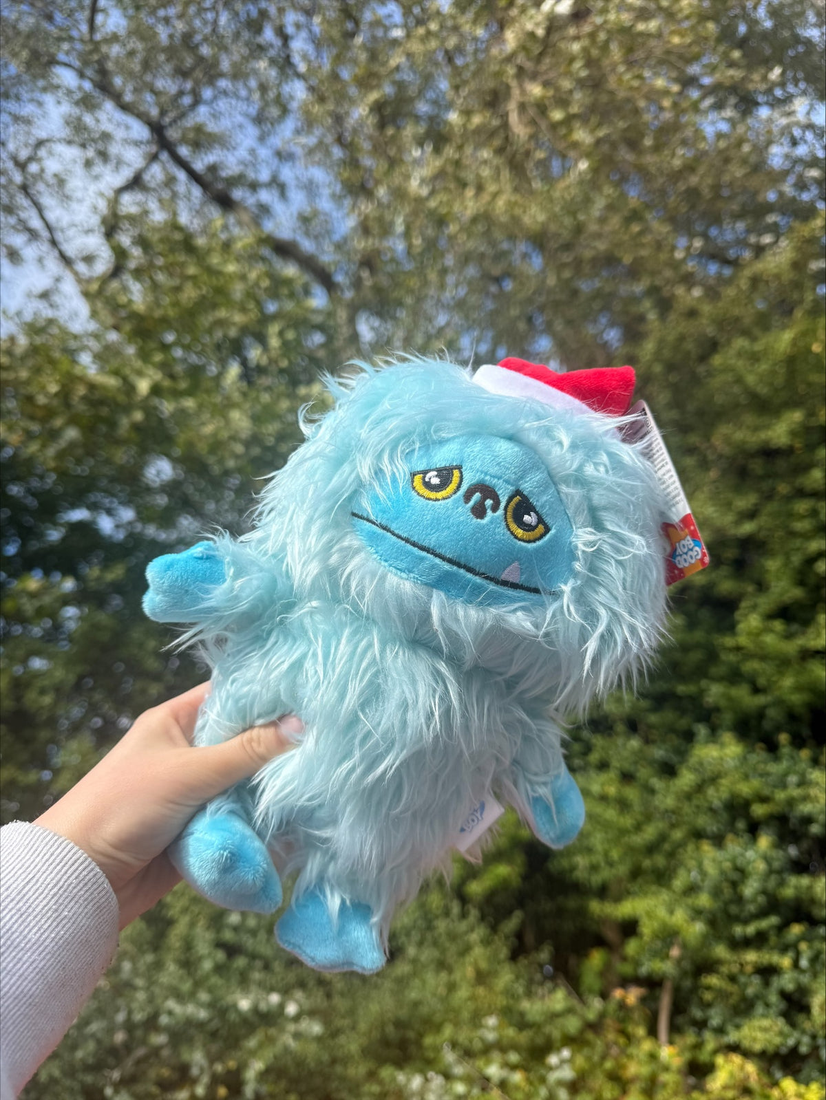 Festive Hairy Monster/ Yeti Dog Toy (Good Boy)