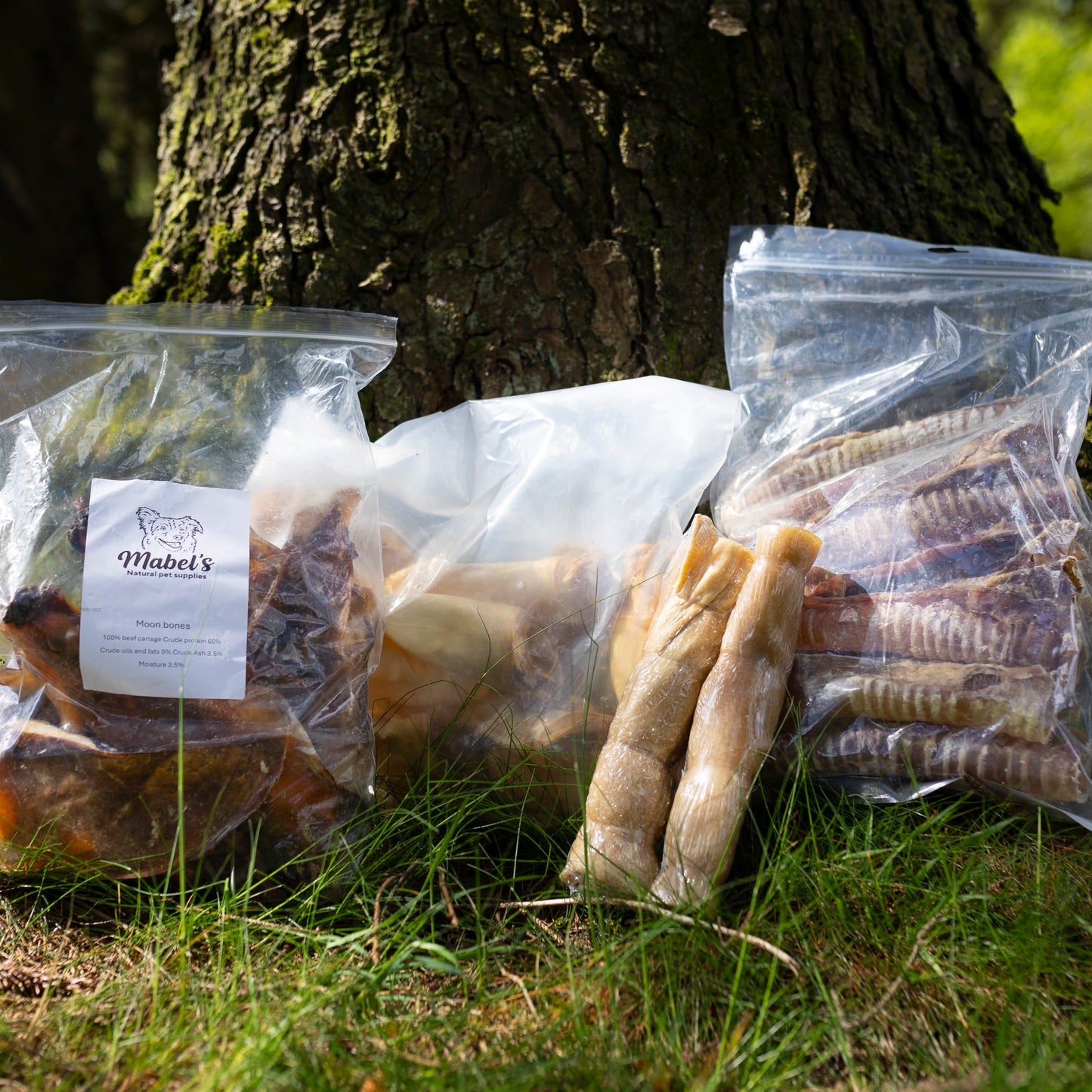 Big Dog Chewer Bundle! (Limited Edition)