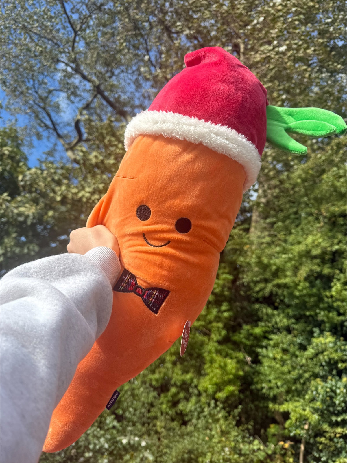Santa Jumbo Plush Carrot Dog Toy
