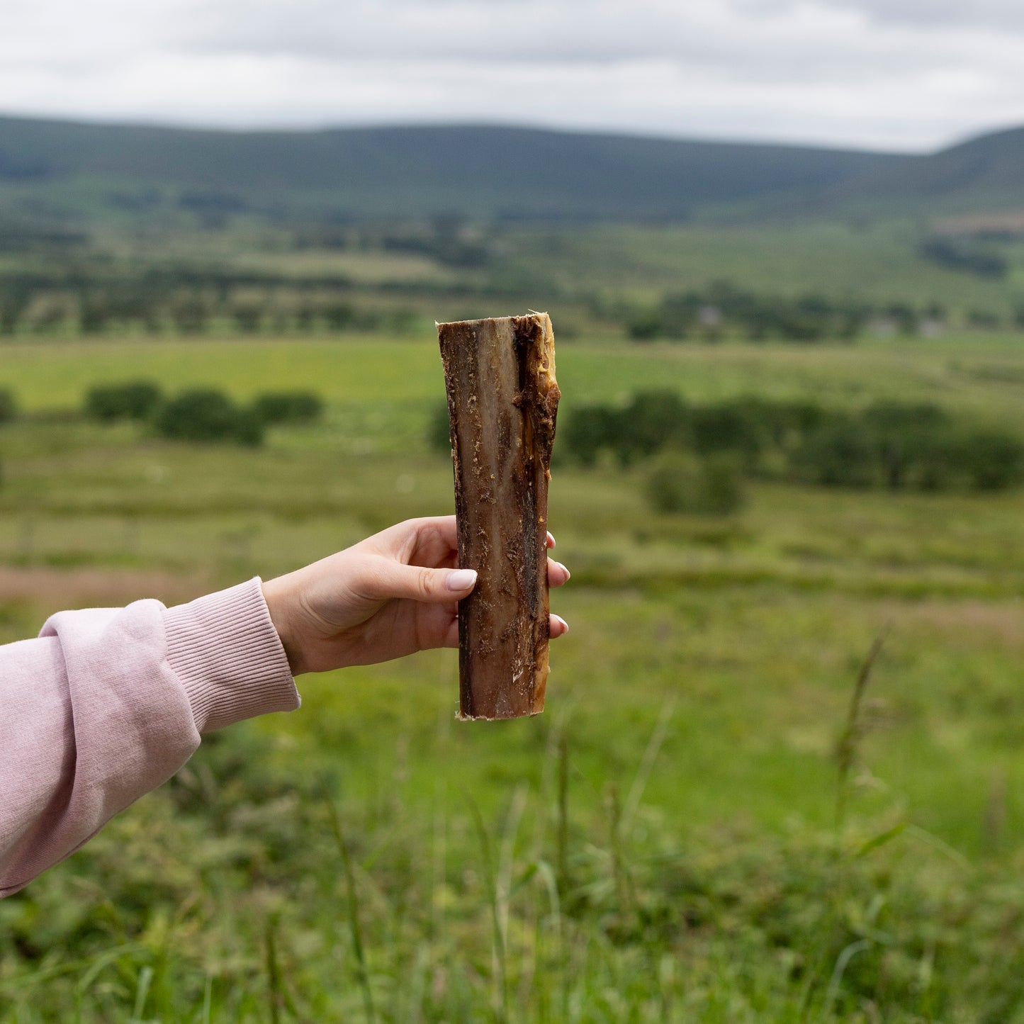 Ostrich Marrow Bone (Approx 18cm) Long Lasting Dog Treat