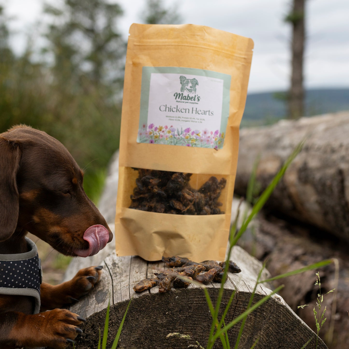 Chicken hearts 1kg or 500g bulk bag, natural dog treat