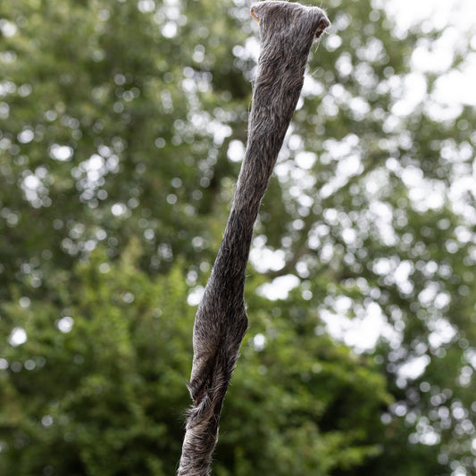 Giant Hairy Beef Stick (approx 50cm)
