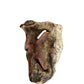 Hairy Beef Snout, single or 1kg bulk bag