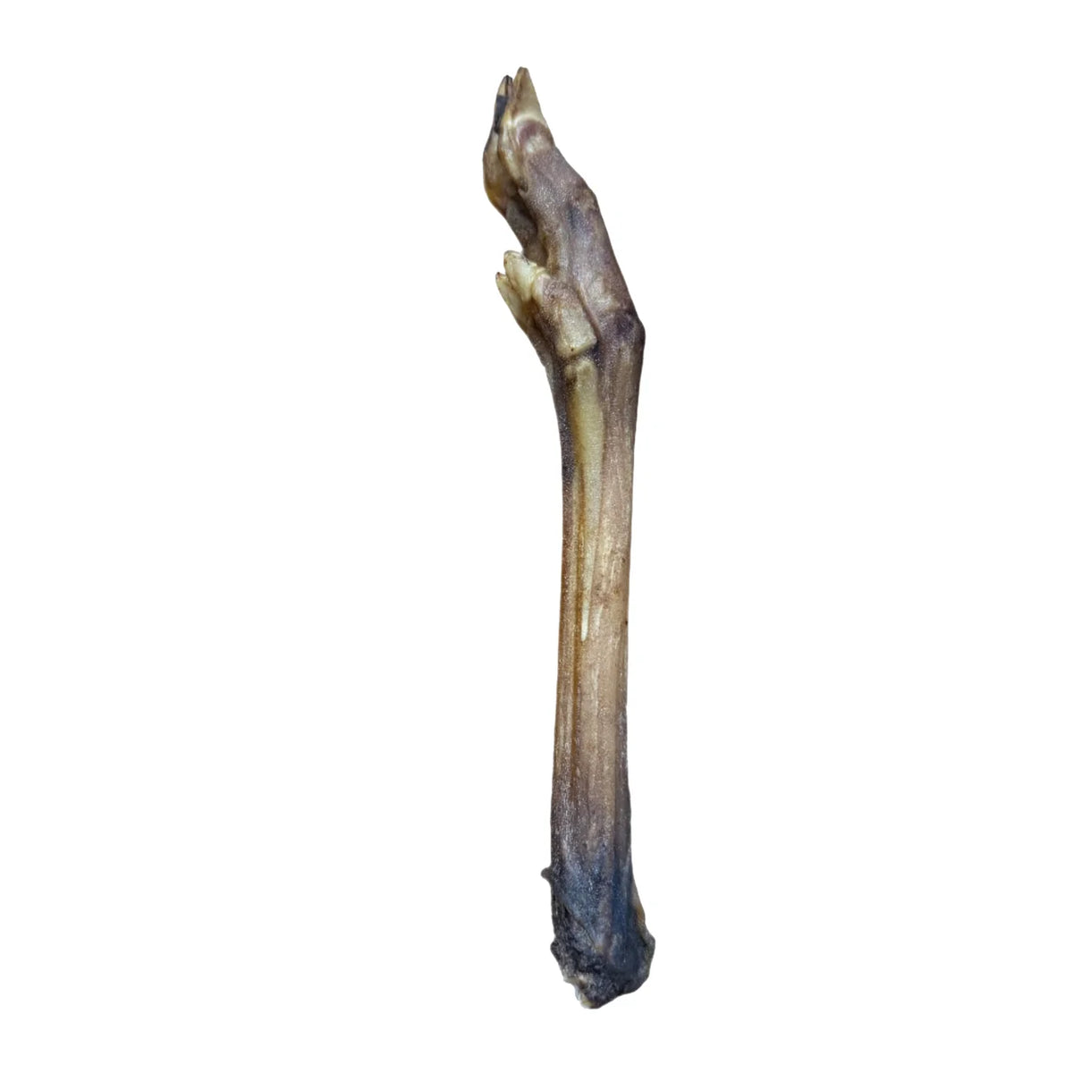 Roe deer legs, natural dog treat
