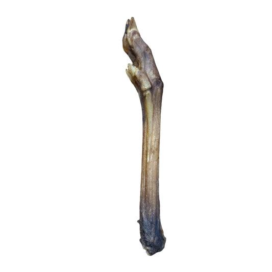 Roe deer legs, natural dog treat