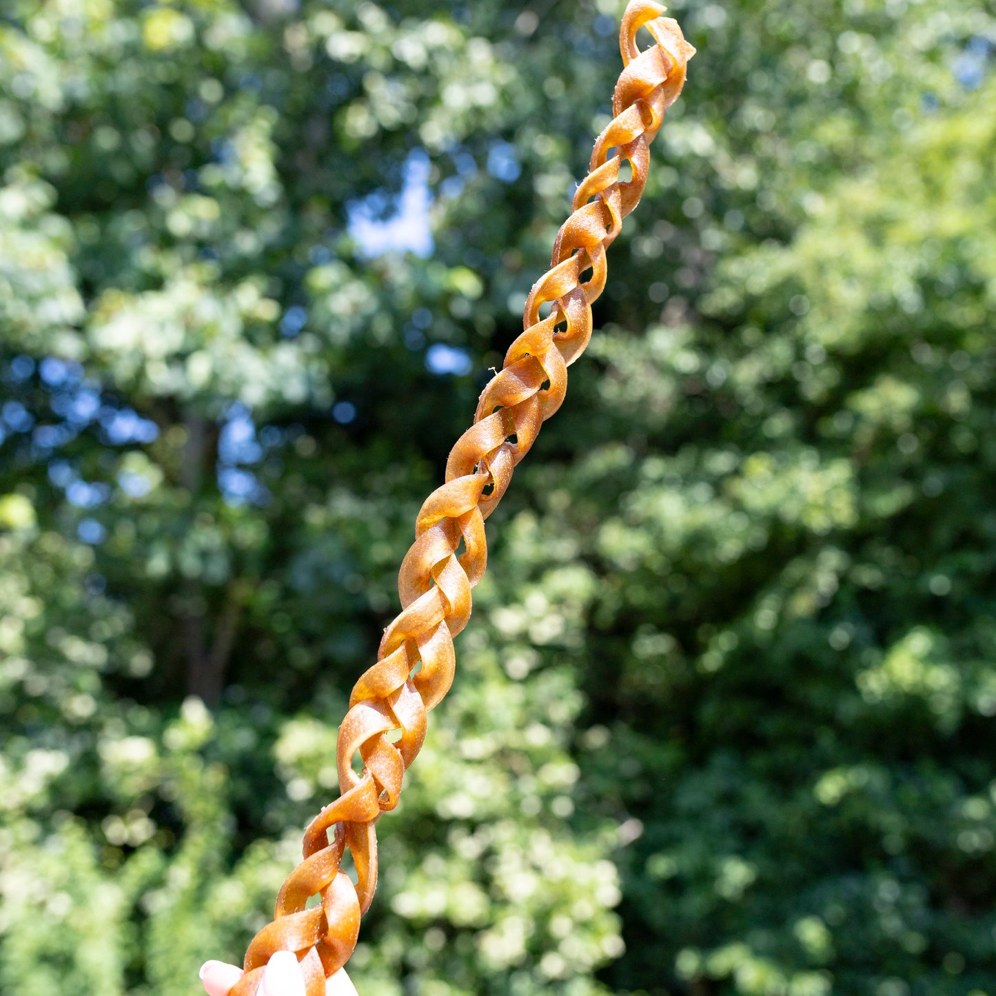 Giant Yak Braid (50cm)