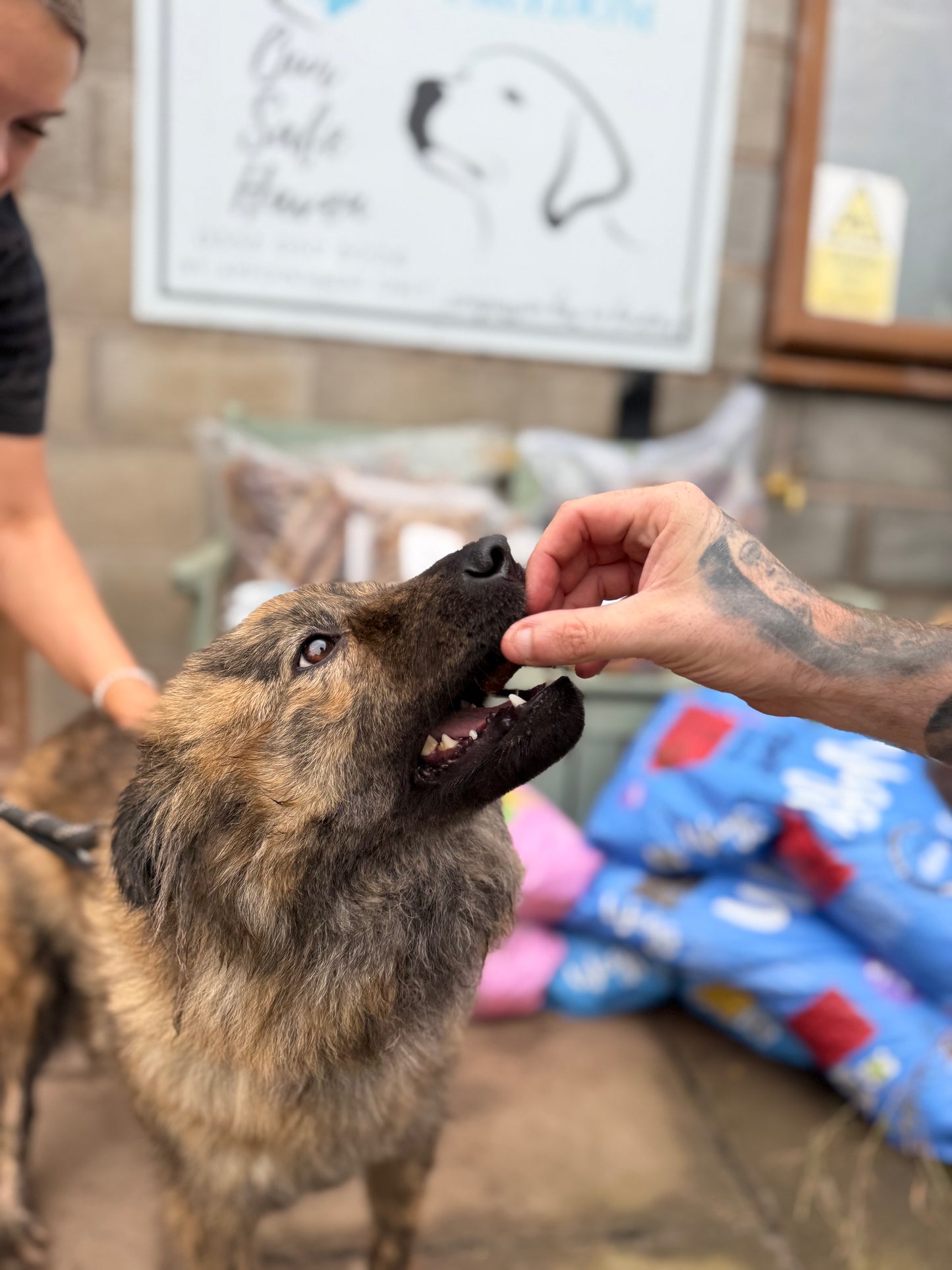 Charity Mixed Treat Bag, 10% of profits help dogs find their forever home