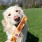 Chewllagen Bars, Collage rich, great for healthy skin and coat