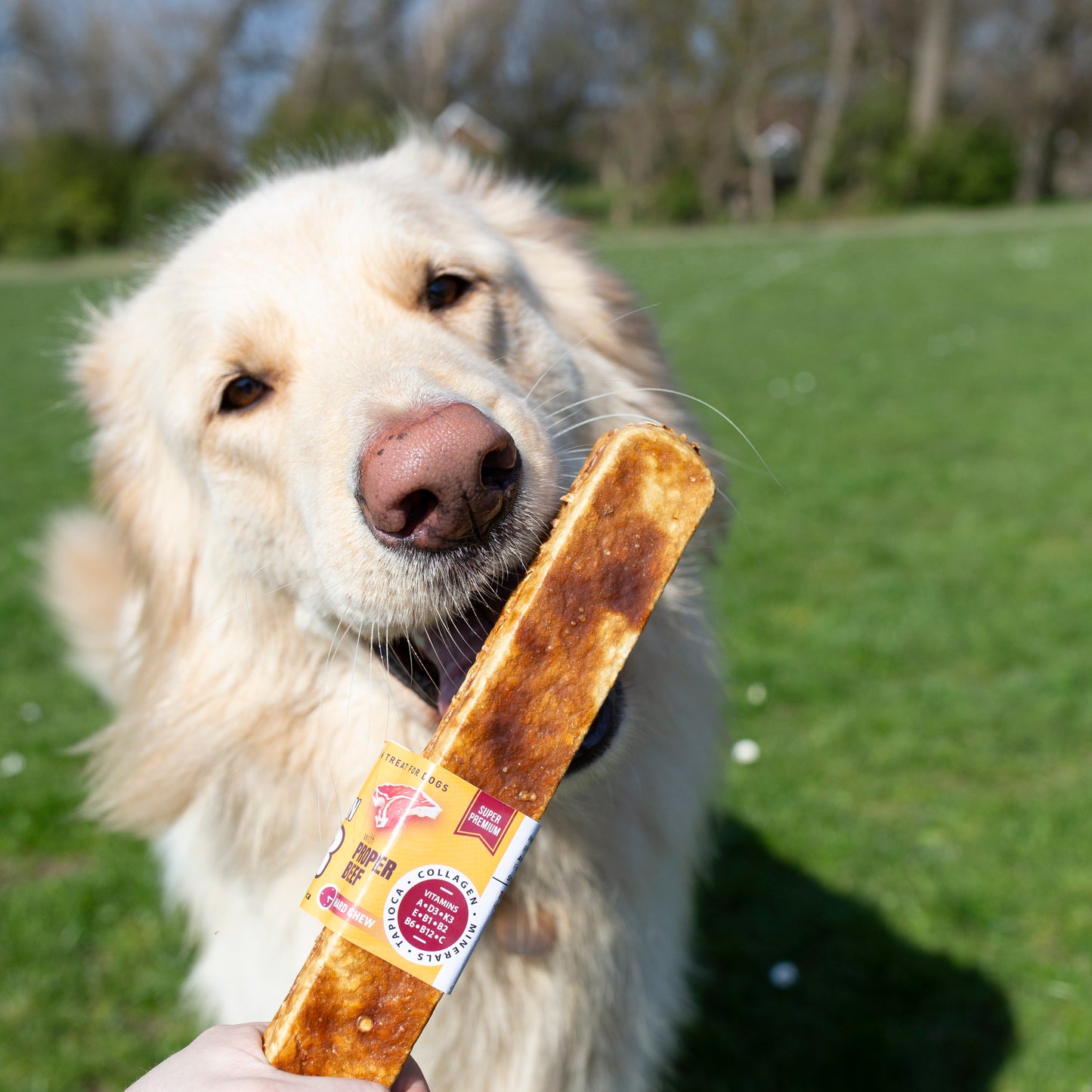 Chewllagen Bars, Collage rich, great for healthy skin and coat