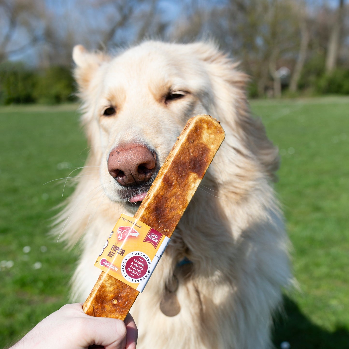Chewllagen Bars, Collage rich, great for healthy skin and coat