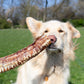 30 cm Trachea Natural Dog Treat