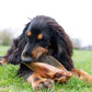 Large buffalo ears (no hair) single or 10 pack, natural dog treat