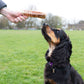 1kg or 500g bag of trachea, lasting dog treat