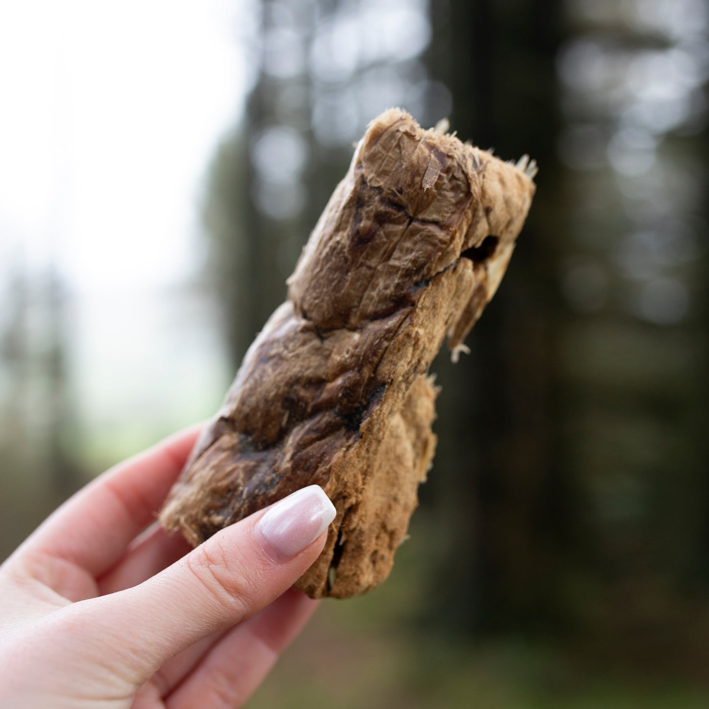 Buffalo Lung, Bulk Bag Natural Dog Treat, 500g or 1kg bag