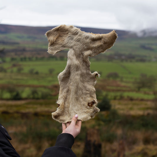 Hairy Beef bark, long lasting dog chew