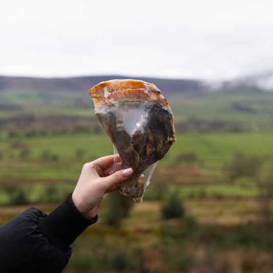 Pork Shoulder with Moon Bone, Long lasting treat