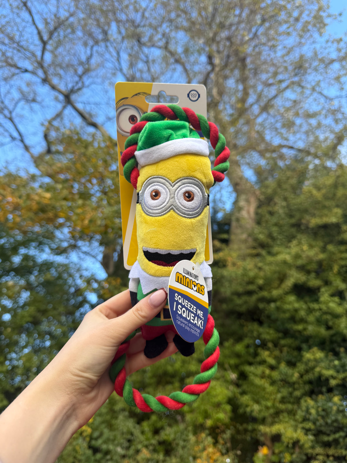 Minion® Double Tug Dog Toy