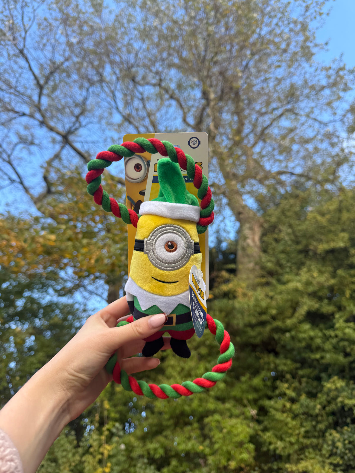 Minion® Double Tug Dog Toy