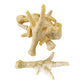 Puffed chicken feet