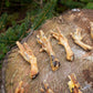 Air Dried Chicken Feet – Natural Daily Treat for Healthy Joints & Teeth (500g / 1kg)