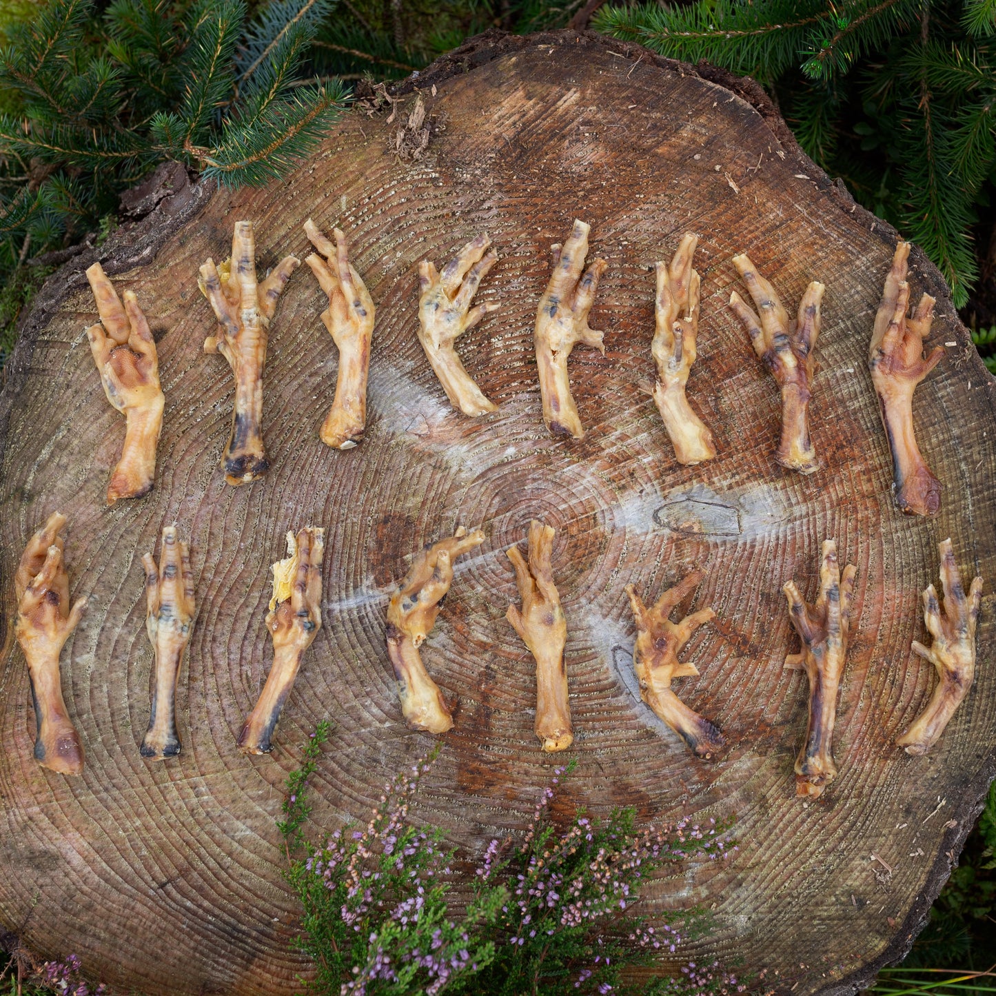 Air Dried Chicken Feet – Natural Daily Treat for Healthy Joints & Teeth (500g / 1kg)