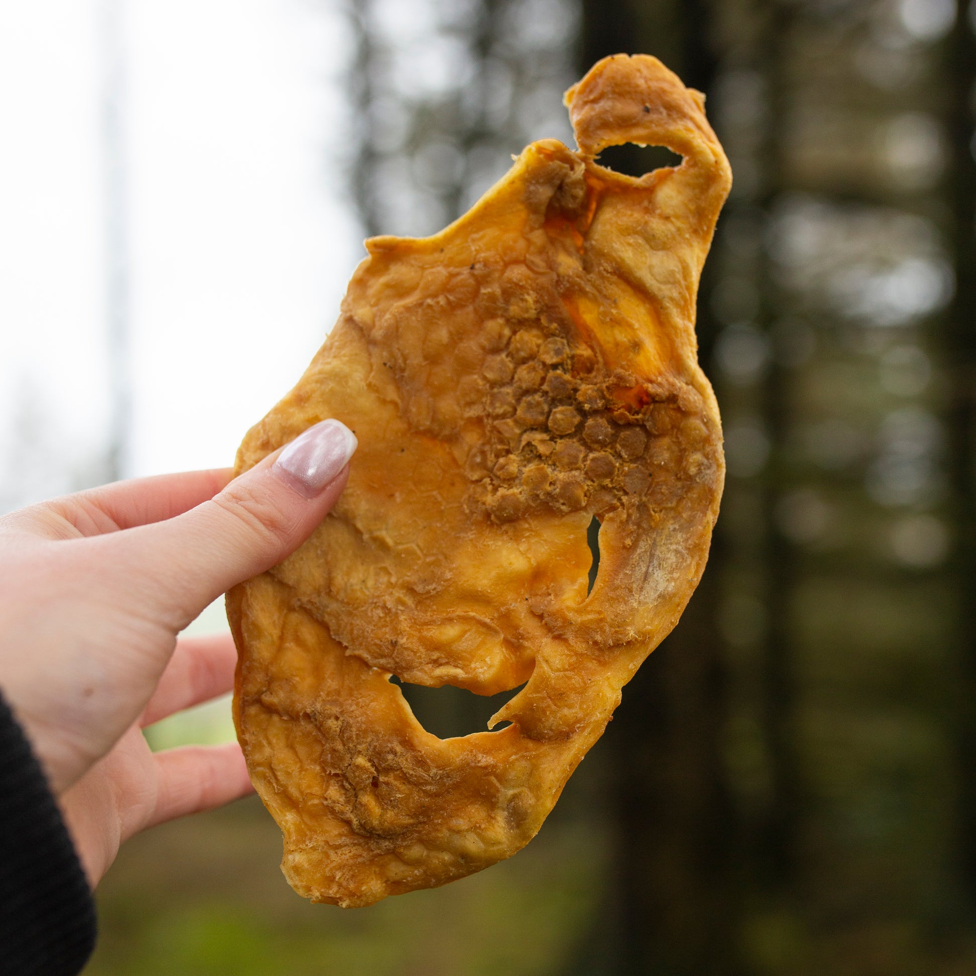 Natural dog treats featuring Lamb Snouts from Mabel's Natural Pet Supplies™, shown in a bulk bag, perfect for healthy pet snacks.