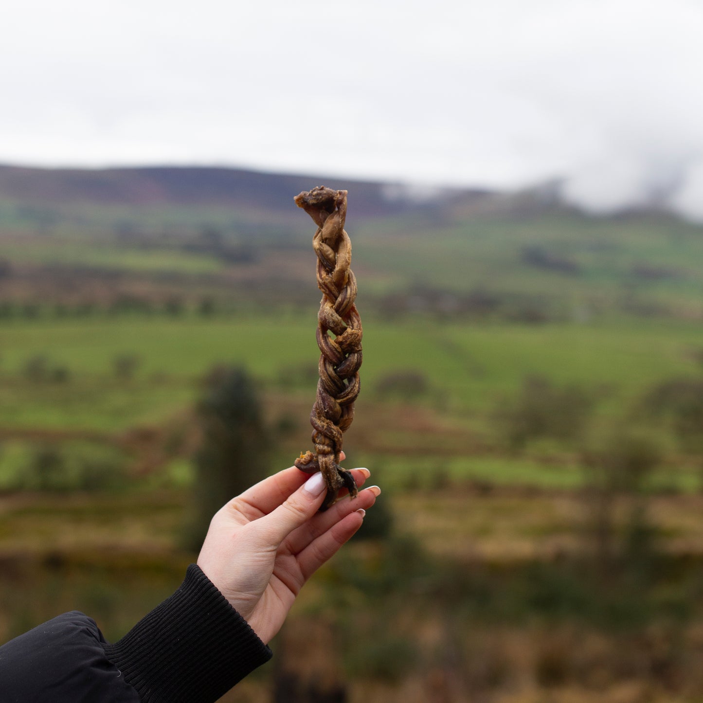 15cm braided lamb pizzle dental chew by Mabel's Natural Pet Supplies™, durable lamb chew for dogs' dental health.