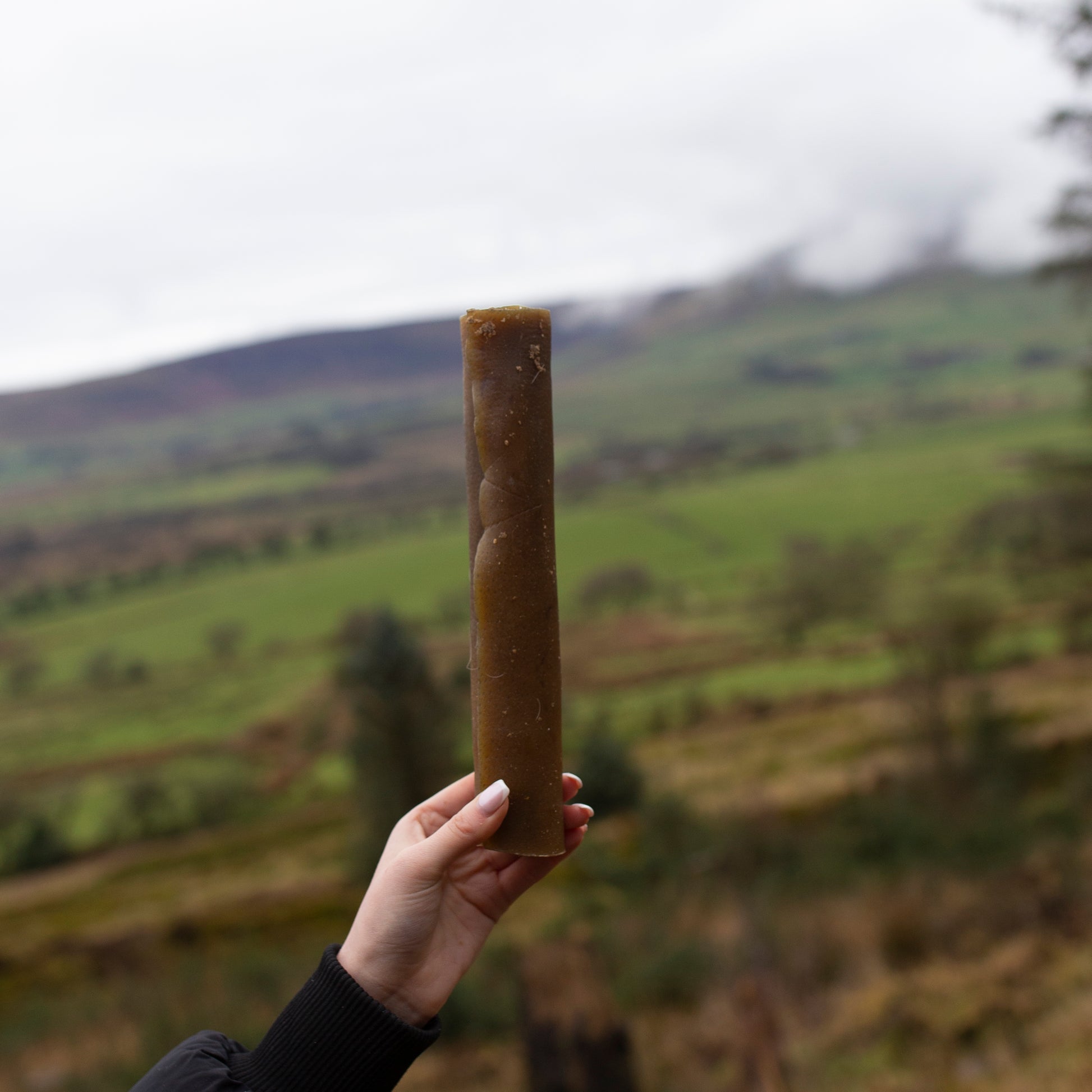 Long-lasting jumbo camel roll dog treat from Mabel's Natural Pet Supplies™, showing a natural, textured camel hide chew for dogs.