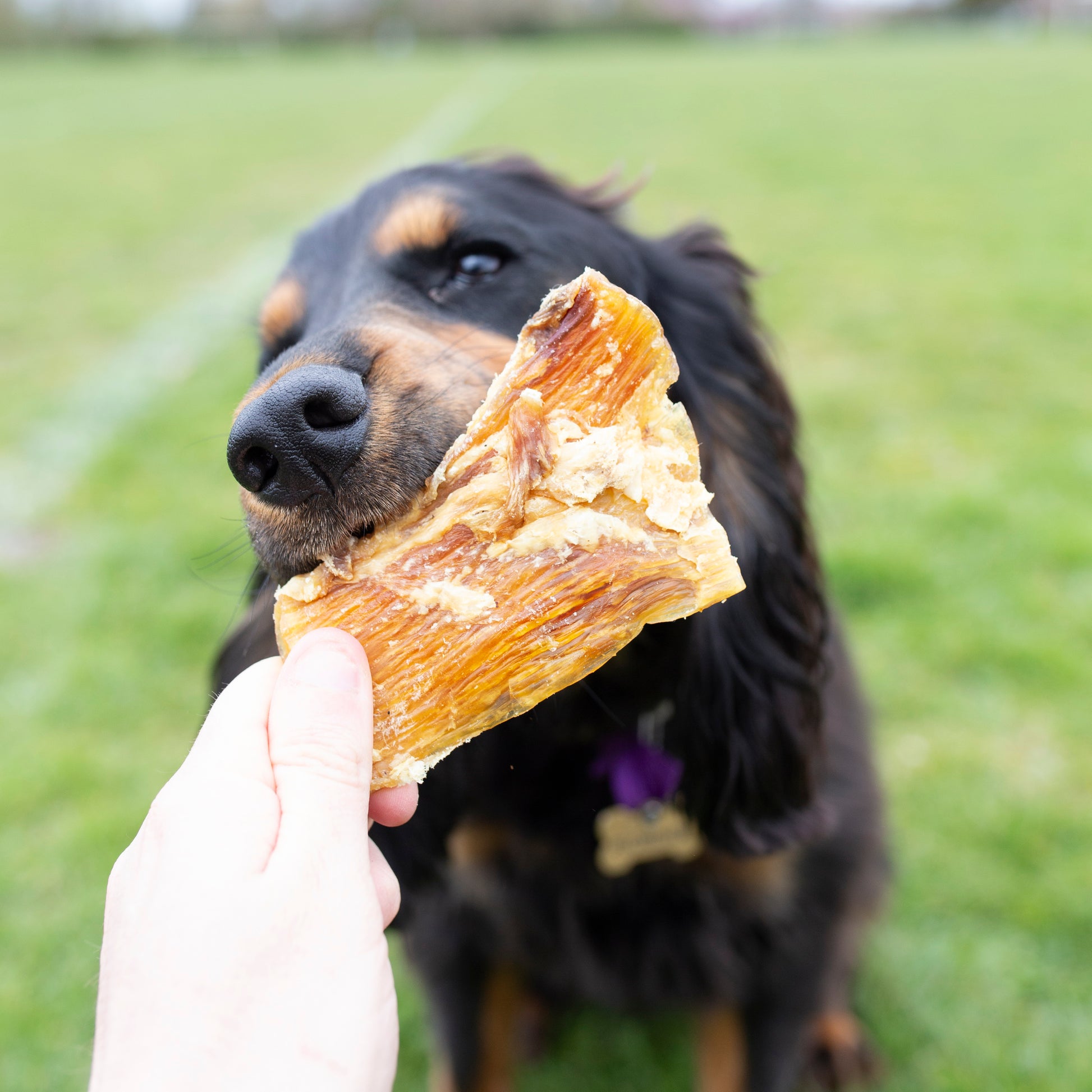 Natural beef tendon dog treats from Mabel's Natural Pet Supplies, 1kg or 500g bag of paddy wack for dogs.