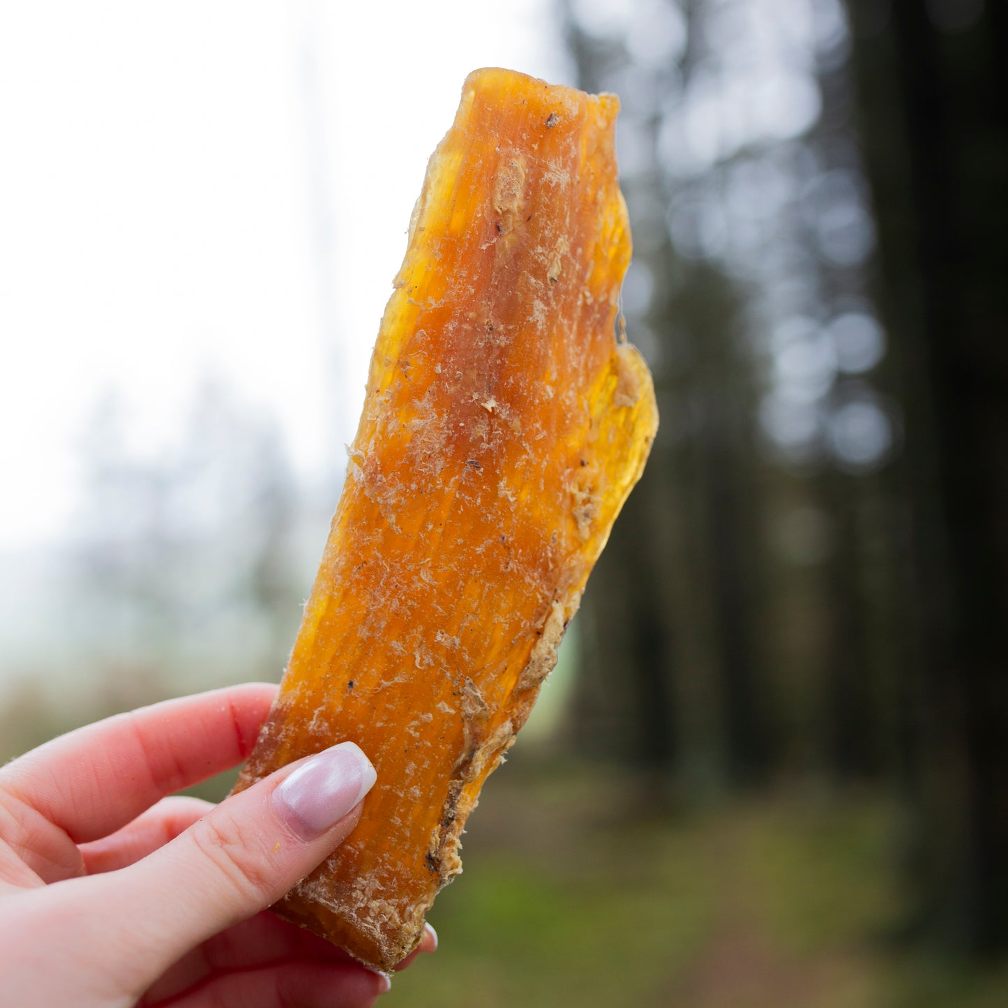 Mabel's Natural Pet Supplies beef tendon dog treats in 1kg or 500g bags, natural and healthy for dogs.