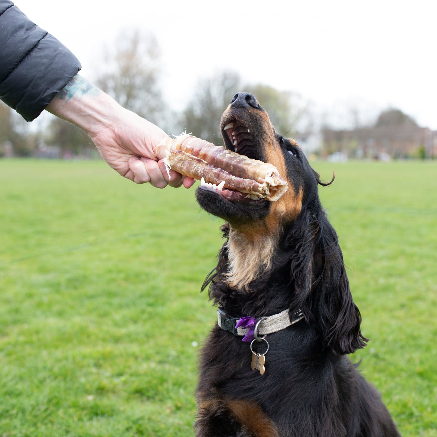 Dog treats by Mabel's Natural Pet Supplies, beef trachea in 1kg and 500g packs, shown in natural color on a white background.
