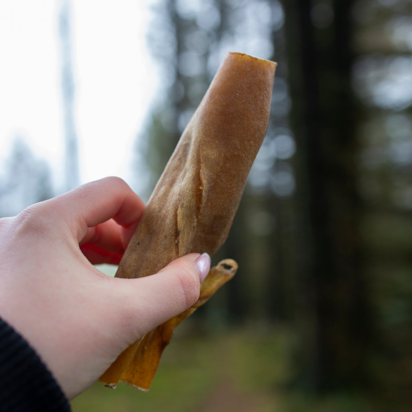 Mabel's Natural Pet Supplies™ beef skins dog treats in bulk bag, long-lasting natural dental chews for dogs