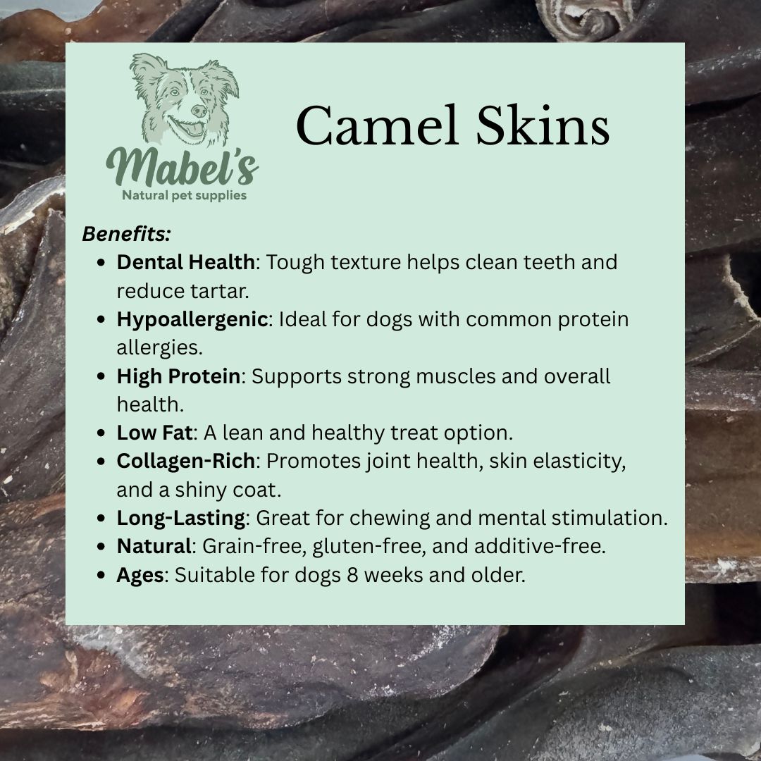Long-lasting camel skin dog treats in a bulk bag from Mabel's Natural Pet Supplies™, showing natural, chewy treats for dogs.
