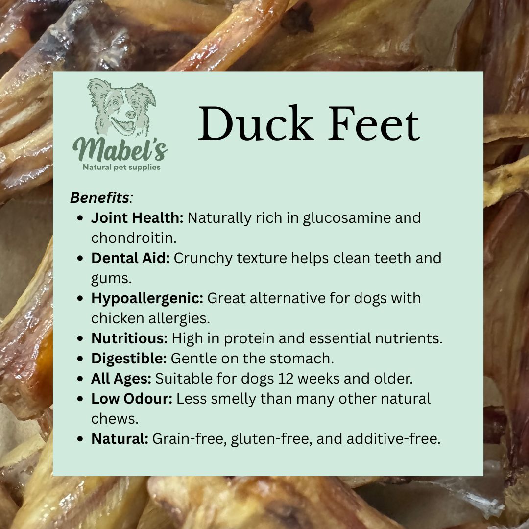 1kg bulk bag of duck feet, natural dog treat