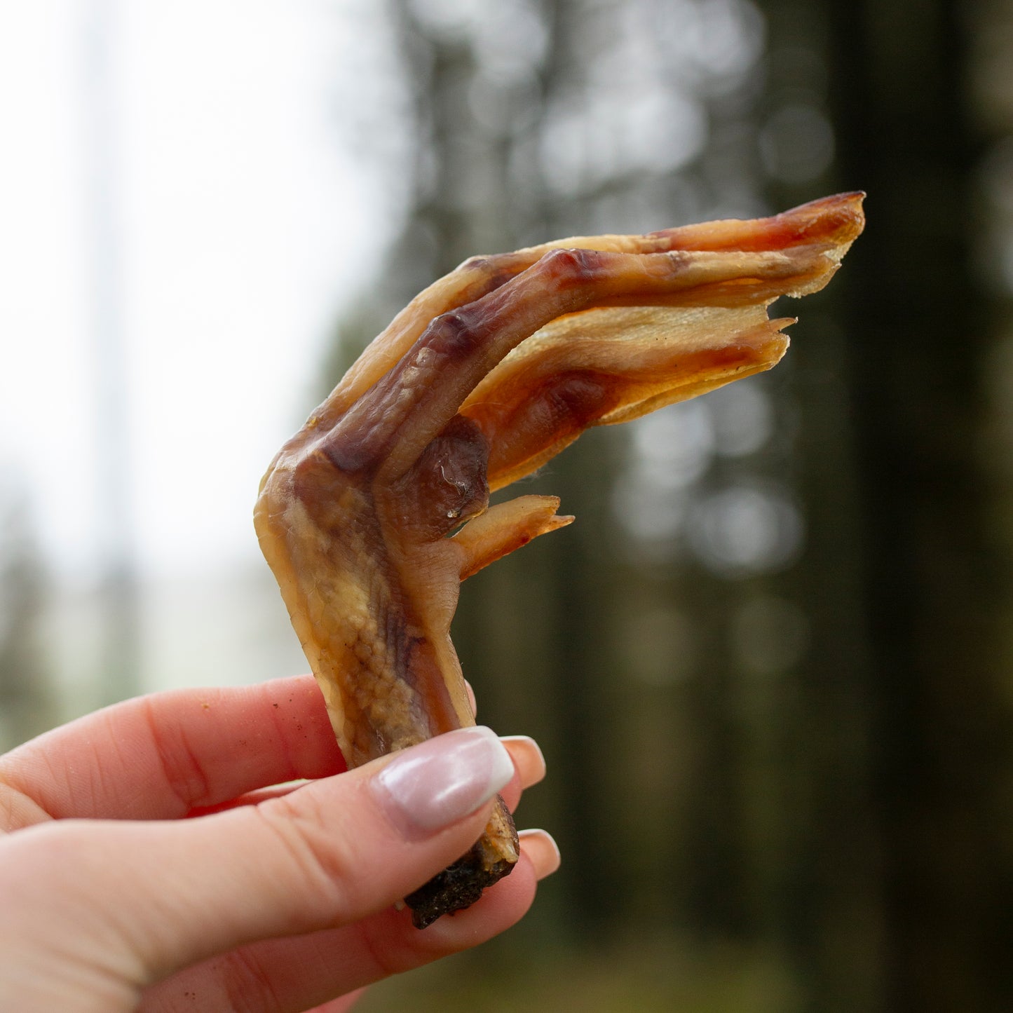 1kg bulk bag of duck feet, natural dog treat
