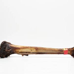 Air-dried Ostrich Caveman Bone dog treat from Mabel's Natural Pet Supplies™, over 50cm, low fat, high protein, ideal for dogs.
