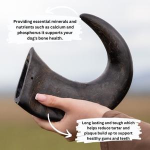 Large buffalo horn dog treat from Mabel's Natural Pet Supplies™, natural chew bone for dogs on a white background.