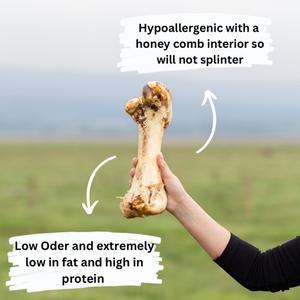 Large ostrich bone dog treat from Mabel's Natural Pet Supplies™, featuring a natural, durable ostrich bone for dogs.