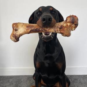 Large ostrich bone dog treat from Mabel's Natural Pet Supplies, showing a natural, textured dino bone treat for dogs.